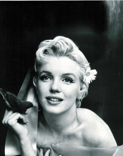 There was just something about Marilyn Monroe She photographed amazingly